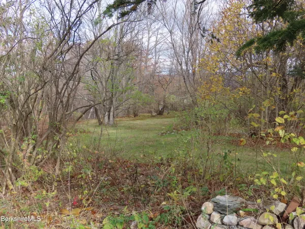 a view of a garden with a tree