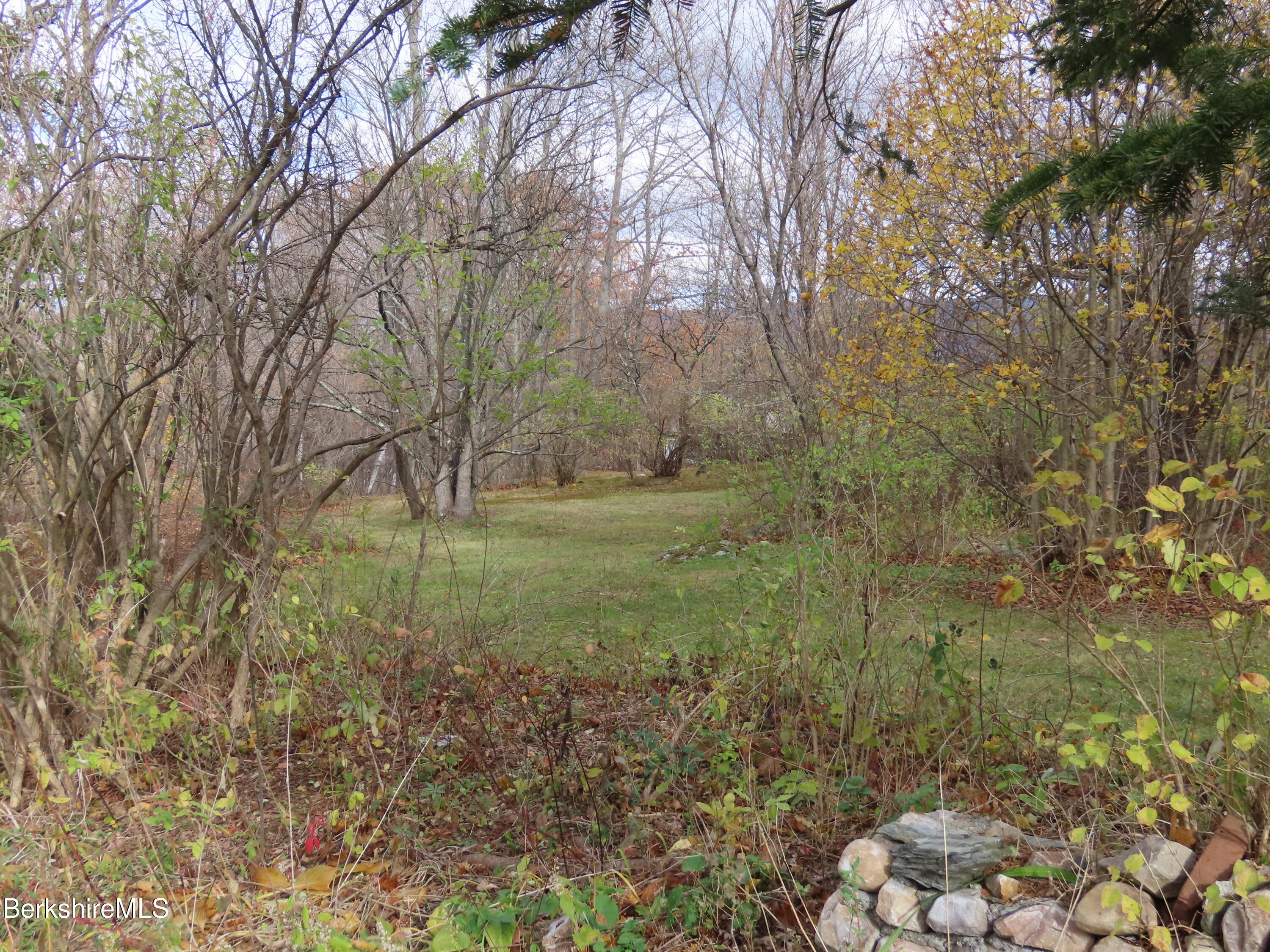 0 Whitman Street North Adams, MA 01247 - Photo 14 of 15 a view of a garden with a tree