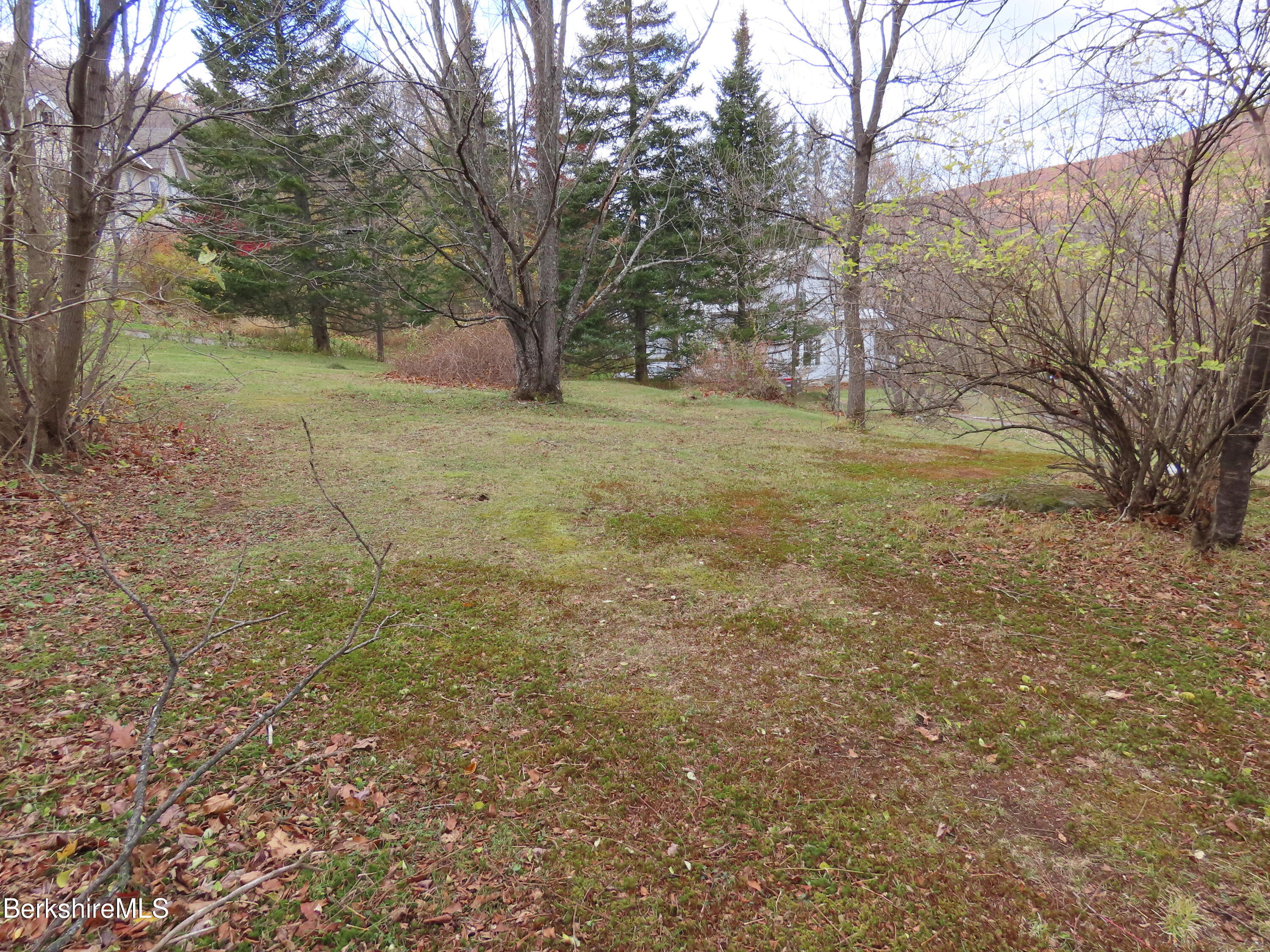 0 Whitman Street North Adams, MA 01247 - Photo 4 of 15 a view of a yard with a tree