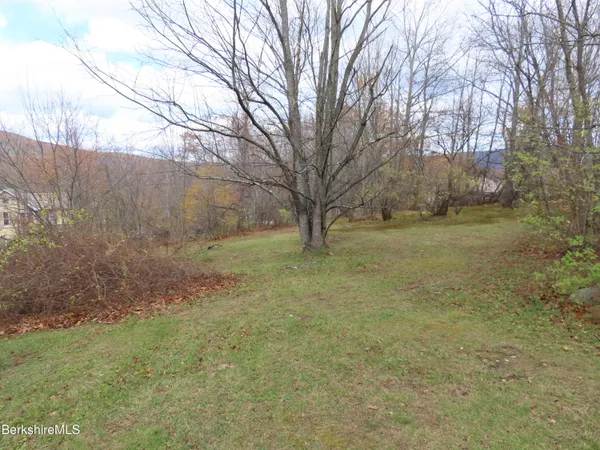 a view of a yard with a tree