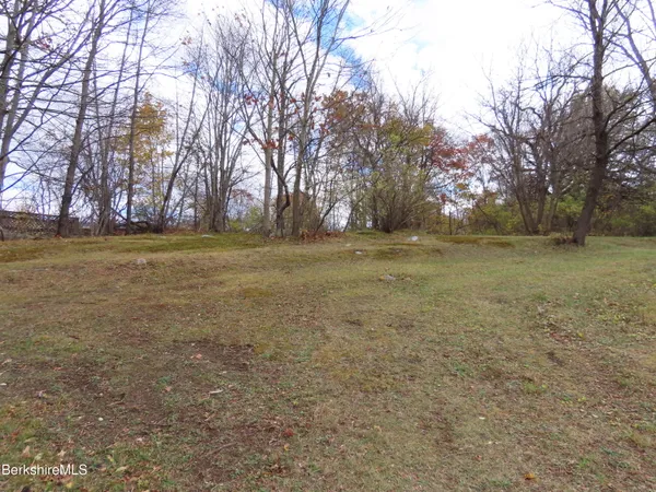 a view of a field with trees in the background