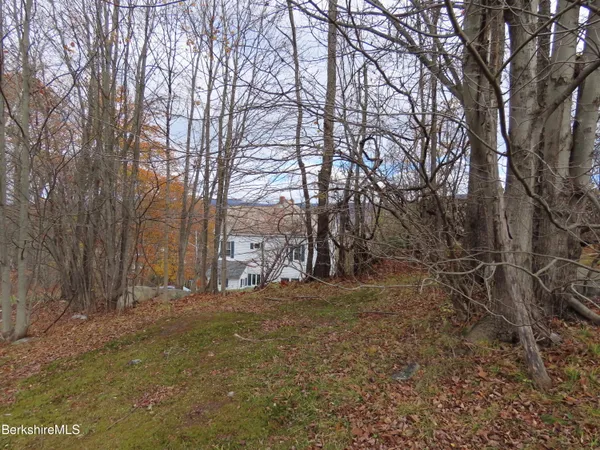a view of dirt yard with trees