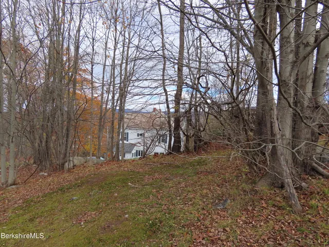 a view of dirt yard with trees