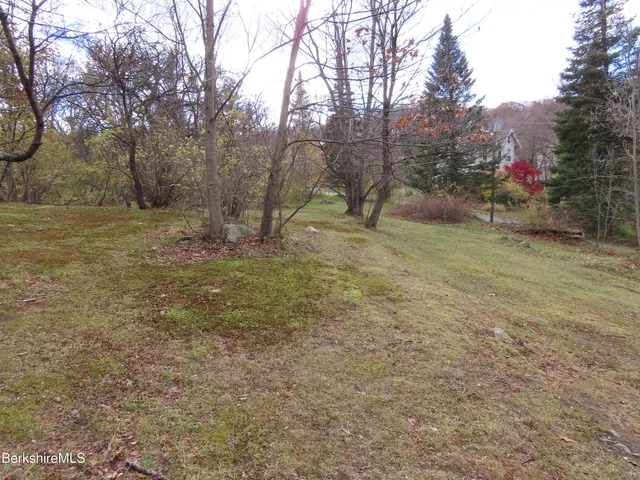 a view of a yard with a tree