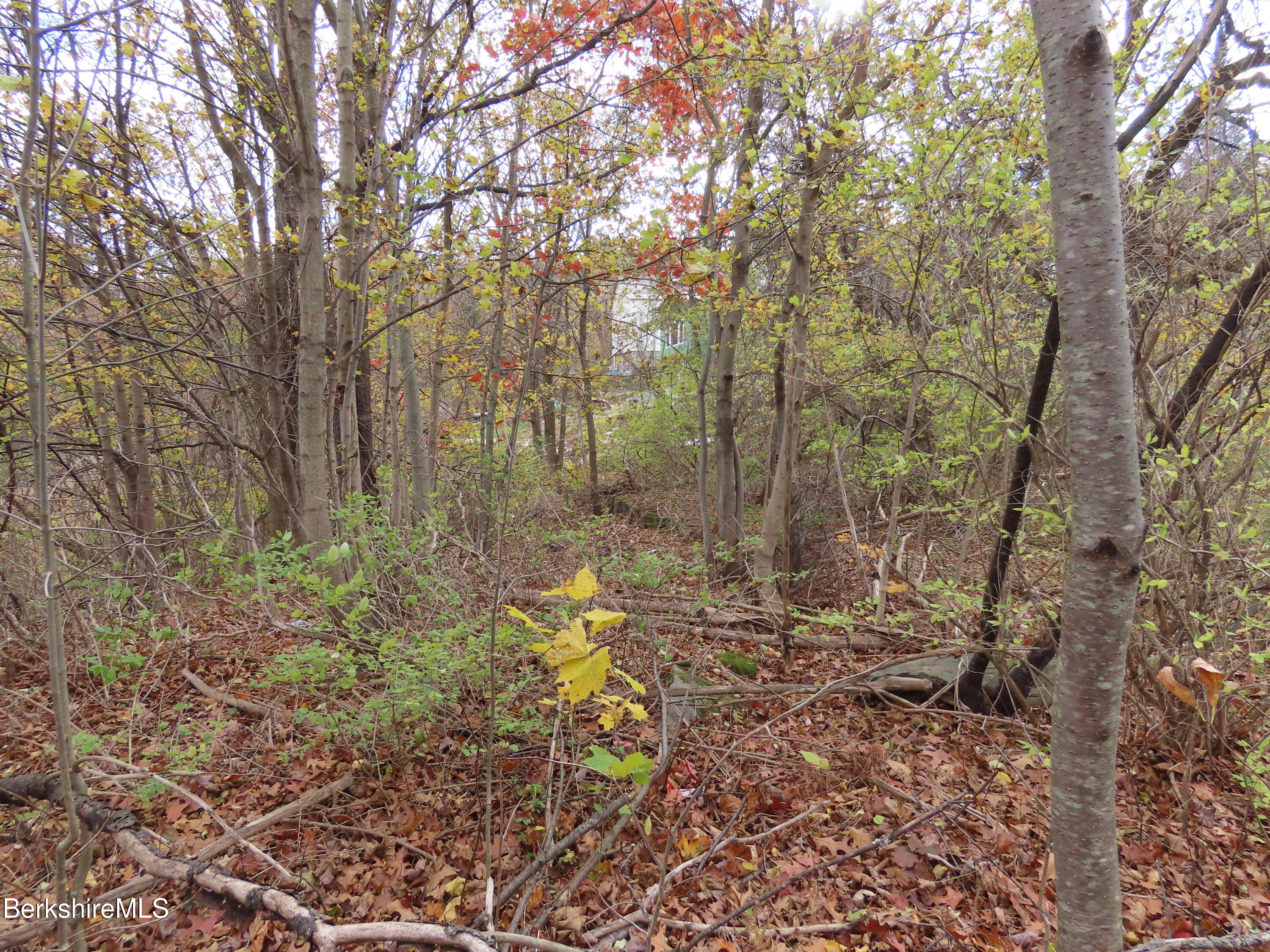 0 Whitman Street North Adams, MA 01247 - Photo 9 of 15 a backyard of a house with lots of green space