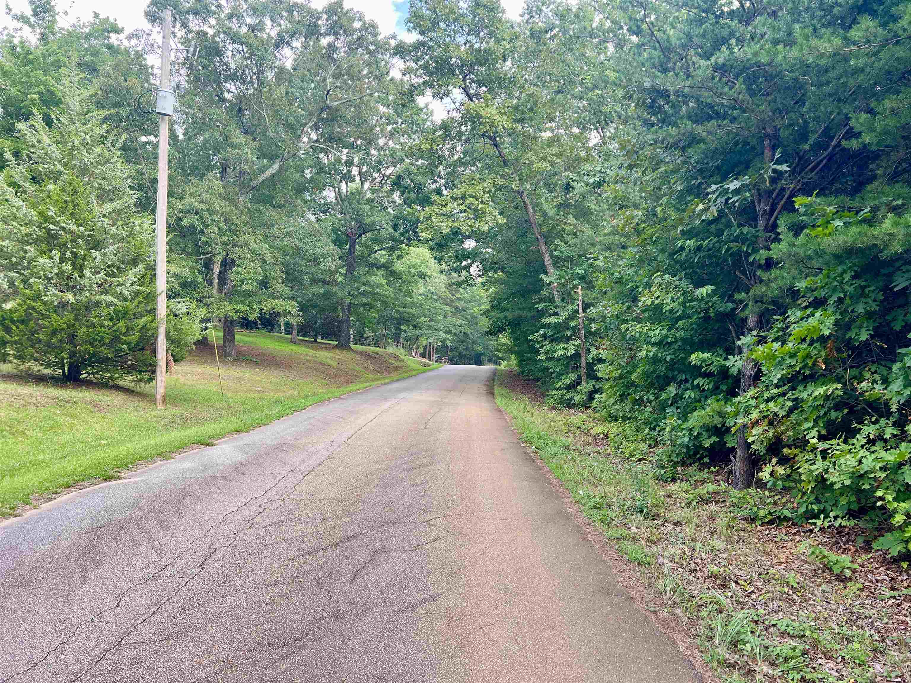 0 Goforth Road Landrum, SC 29356 - Photo 5 of 6