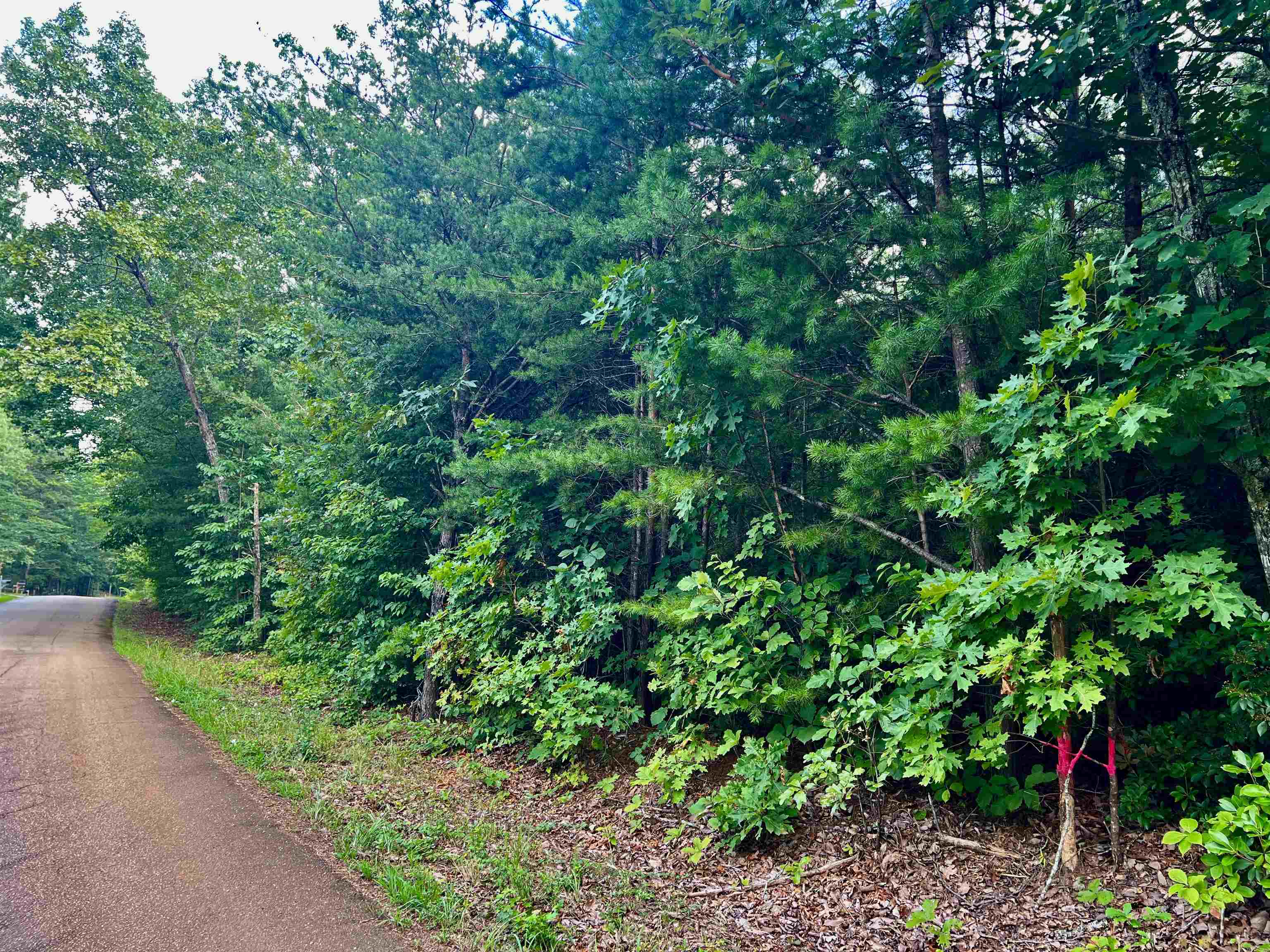 0 Goforth Road Landrum, SC 29356 - Photo 6 of 6