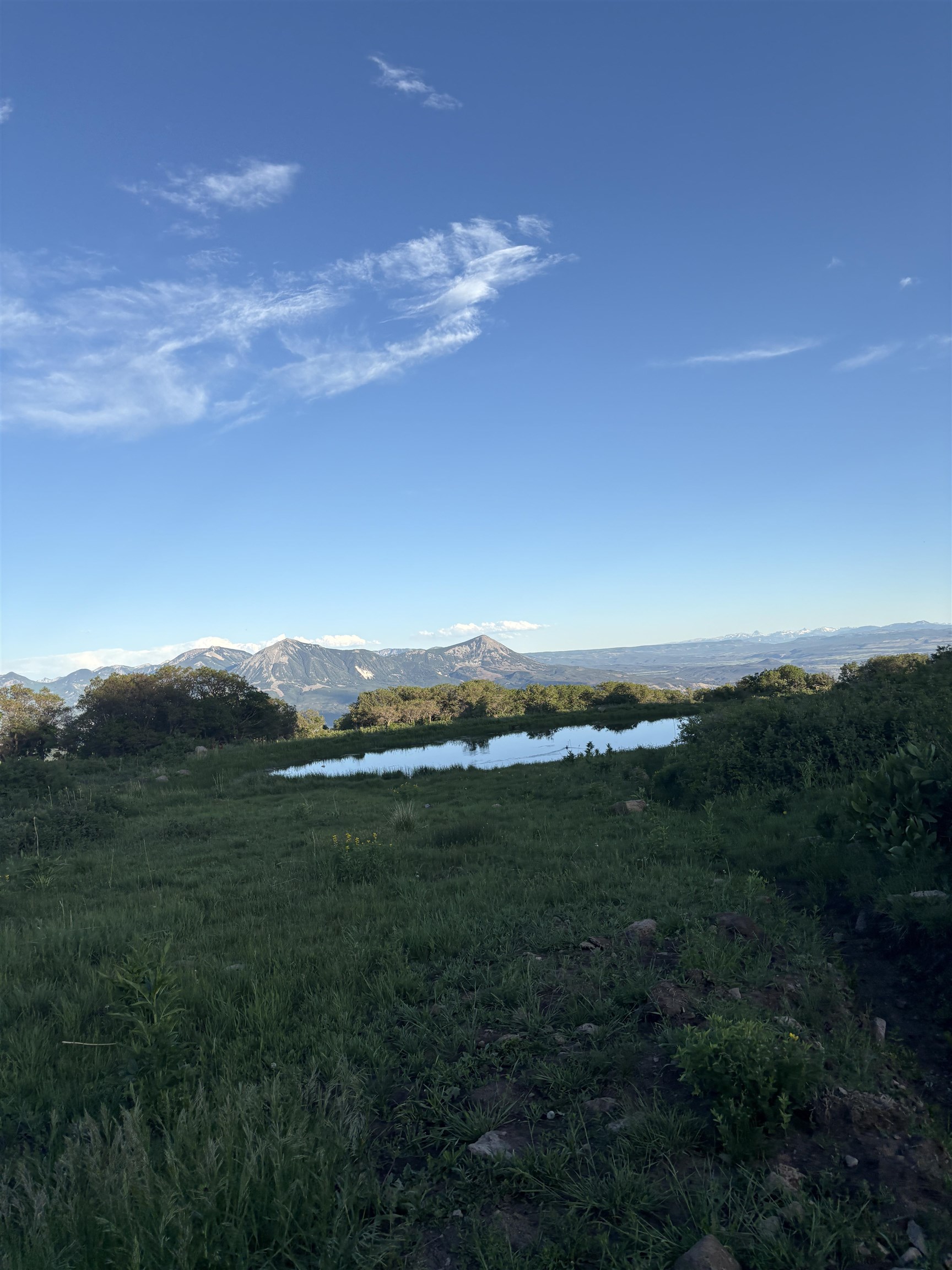 37081 Roatcap Road Paonia, CO 81428 - Photo 15 of 19