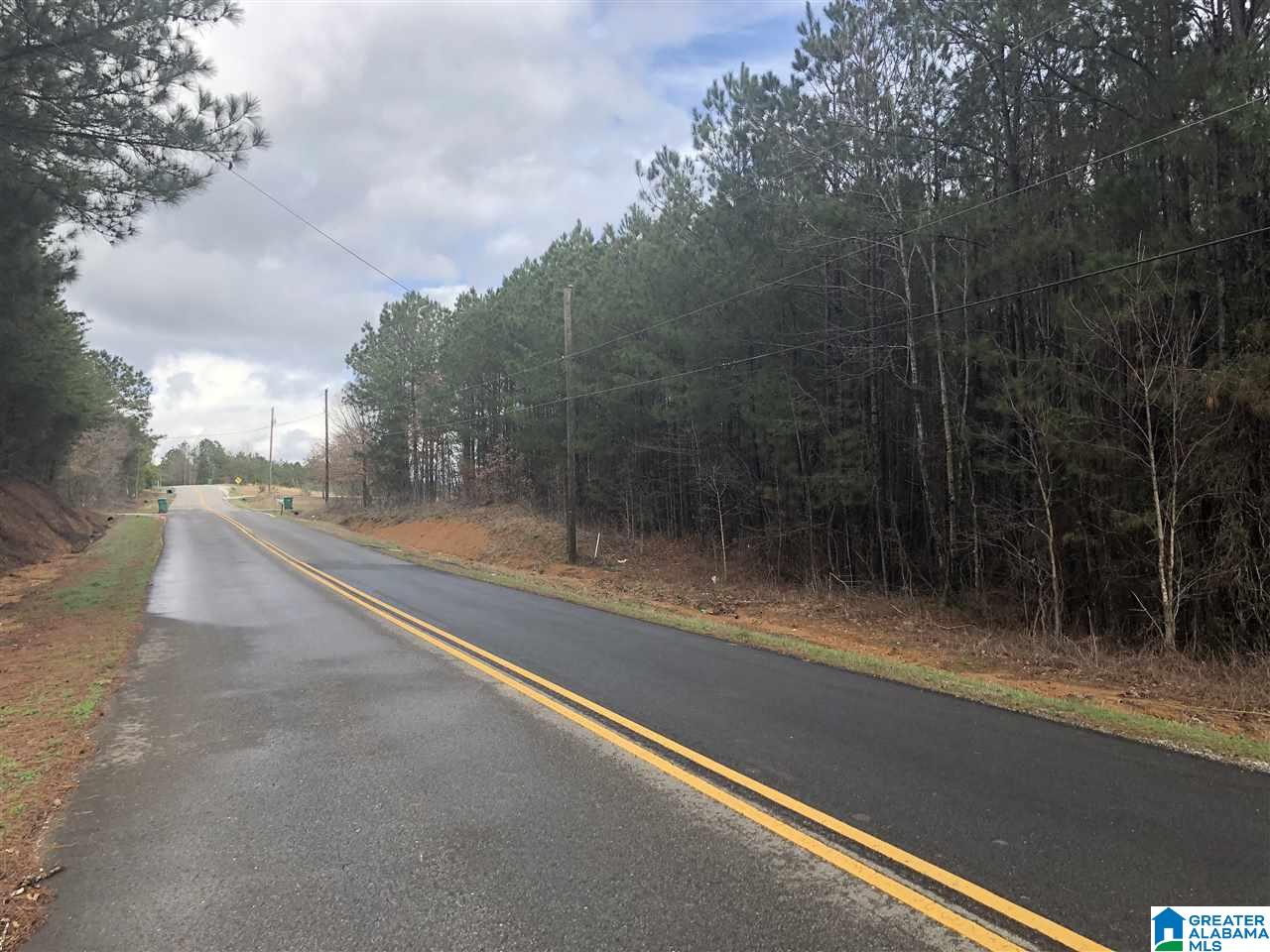 Lot 25 Crisstown Road, Unit 25 Vance, AL 35490 - Photo 3 of 4