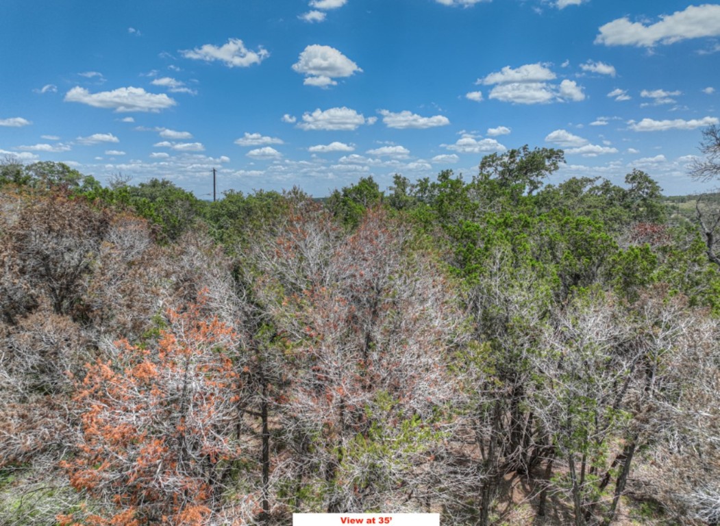 Tbd Chad Way Spring Branch, TX 78070 - Photo 11 of 28 a view of a city with lots of bushes