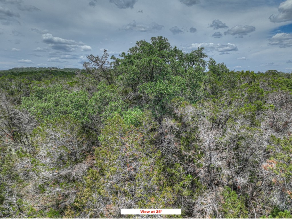Tbd Chad Way Spring Branch, TX 78070 - Photo 13 of 28 a view of a yard with plants and a bench