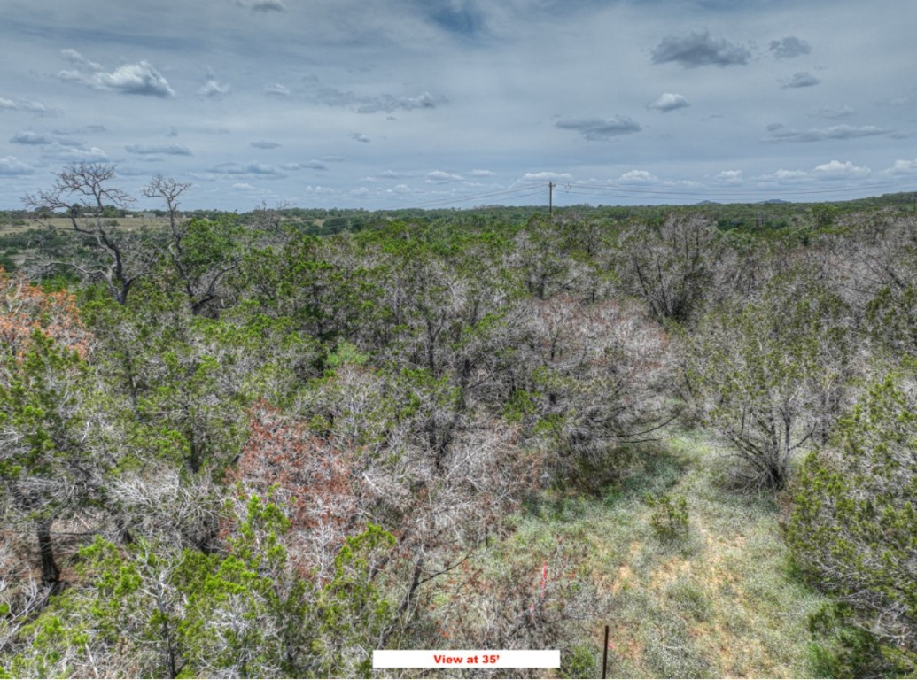 Tbd Chad Way Spring Branch, TX 78070 - Photo 15 of 28 a view of a yard