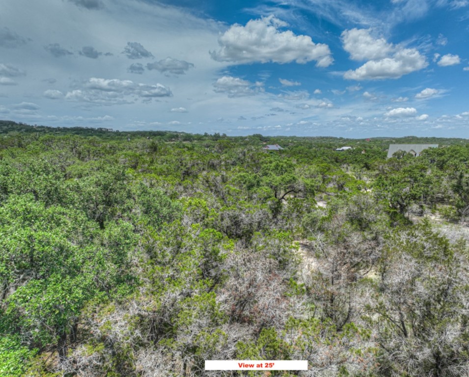 Tbd Chad Way Spring Branch, TX 78070 - Photo 7 of 28 a view of a bunch of trees and bushes