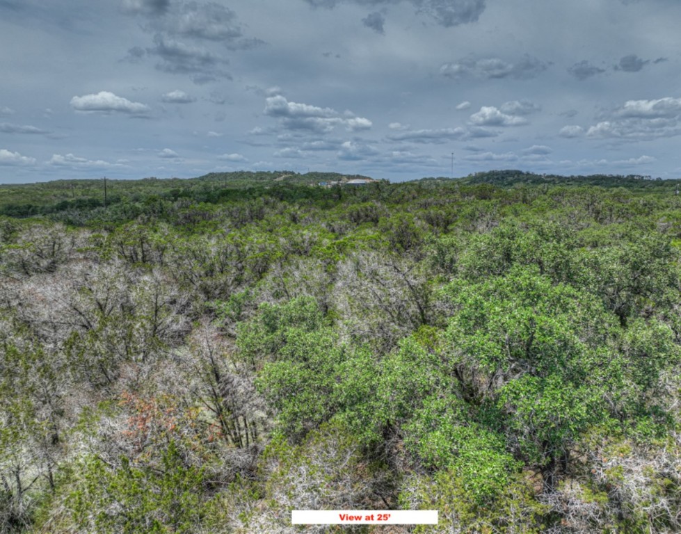 Tbd Chad Way Spring Branch, TX 78070 - Photo 8 of 28