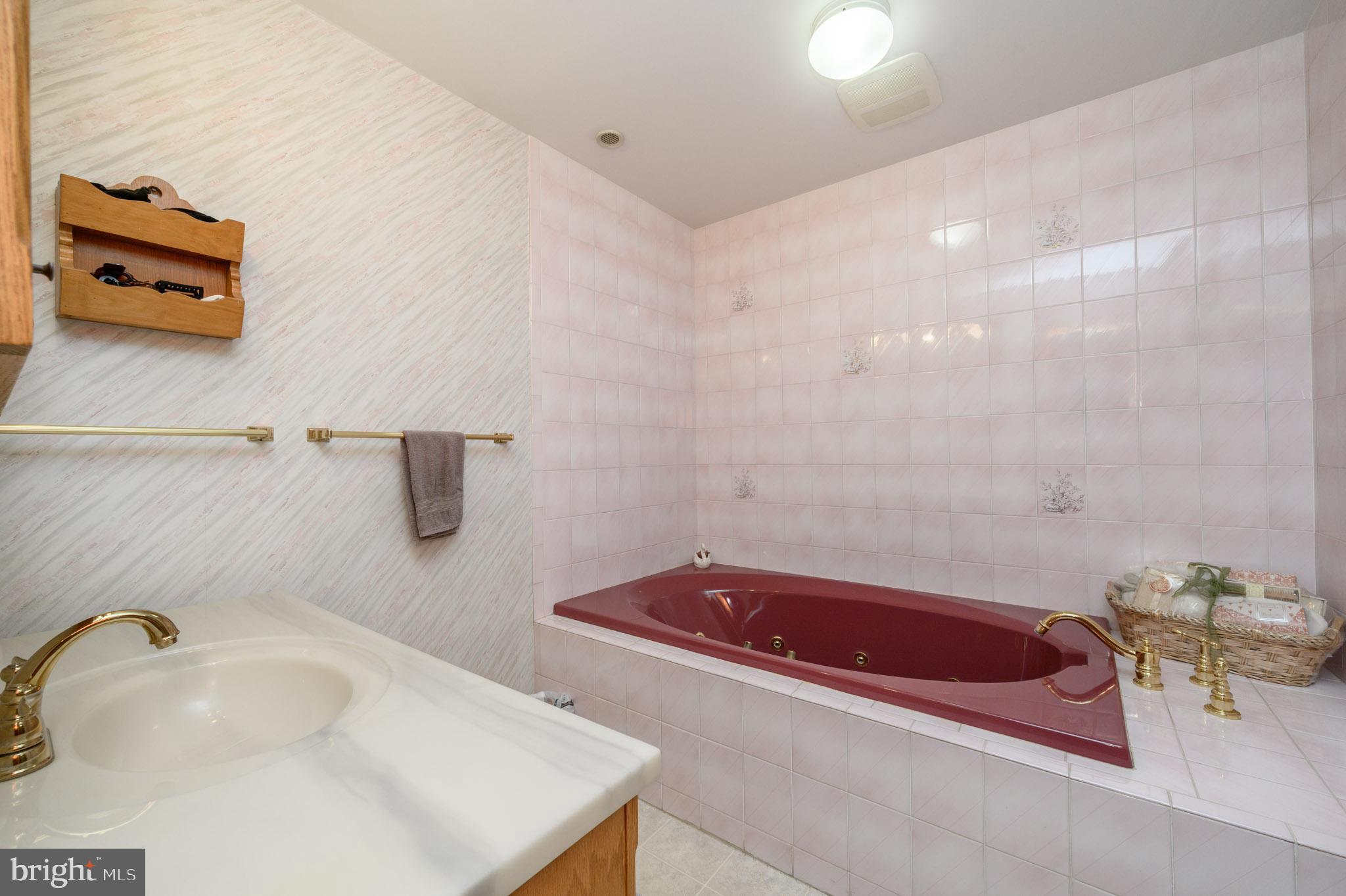 1404 Columbus Road Burlington, NJ 08016 - Photo 30 of 55 a bathroom with a tub and a sink