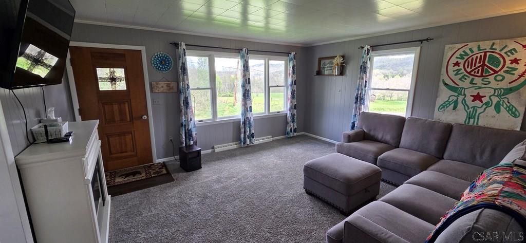217 Camp Ground Road Confluence, PA 15424 - Photo 8 of 29