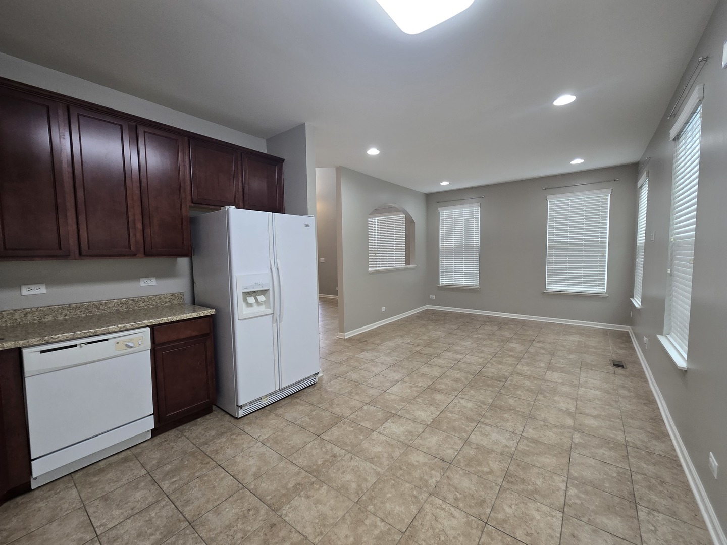 460 South Jade Lane Round Lake, IL 60073 - Photo 6 of 21