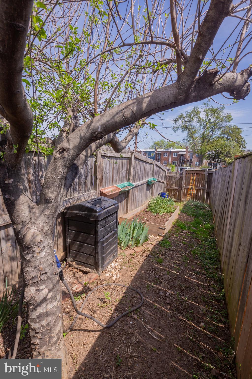 423 18th Street Northeast, Unit 12 Washington, DC 20002 - Photo 39 of 41 a front view of a house with a yard