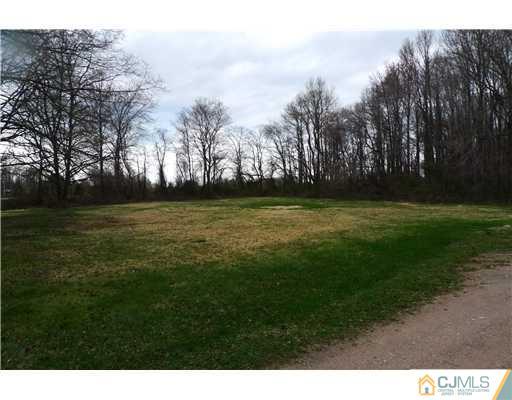 30 Friendship Road Cranbury, NJ 08512 - Photo 18 of 19 a backyard of a house with lots of green space