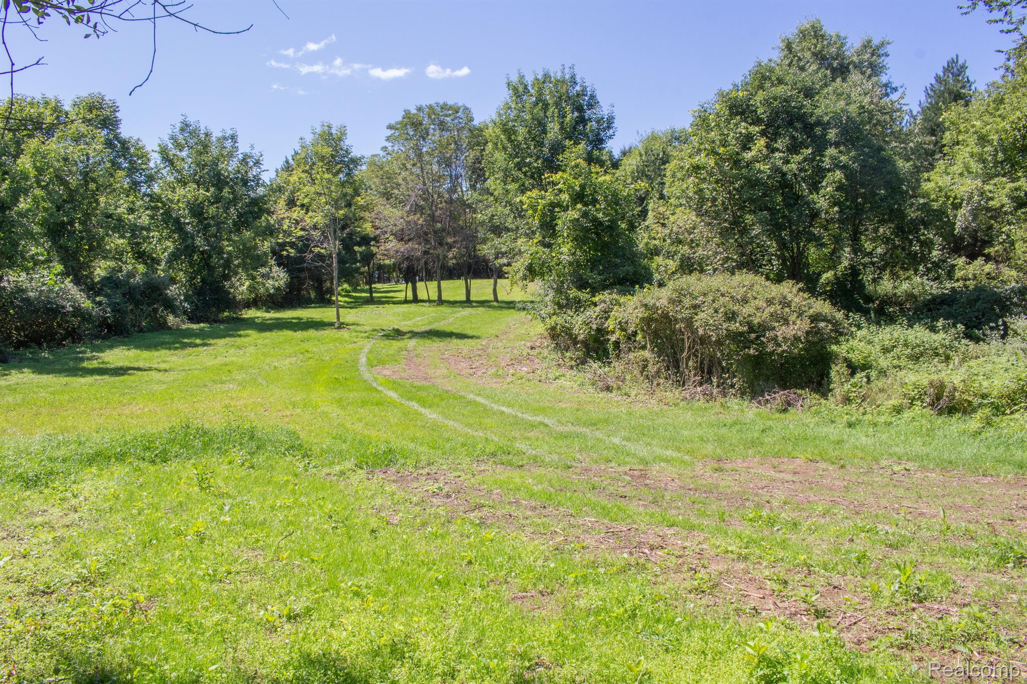 5380 Hagerman Road Leonard, MI 48367 - Photo 28 of 38 Center of property perfect for pole barn