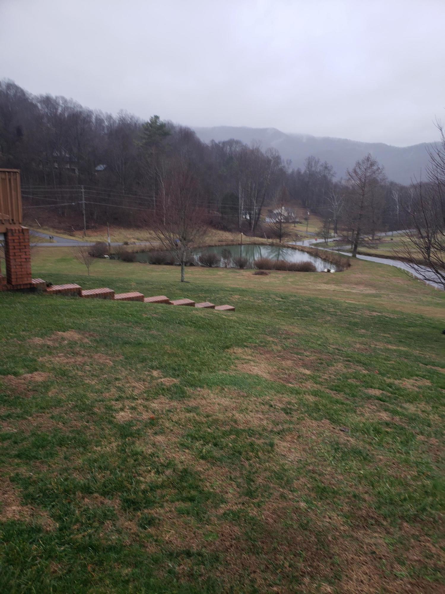 Tbd Springbrook Road, Unit 1 Unicoi, TN 37692 - Photo 3 of 10 20200114_160018