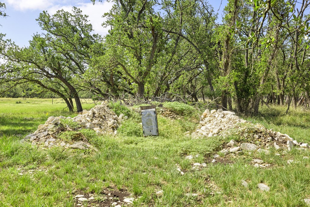 64 Scott Branch Road Harper, TX 78631 - Photo 27 of 36 a close up of a tree