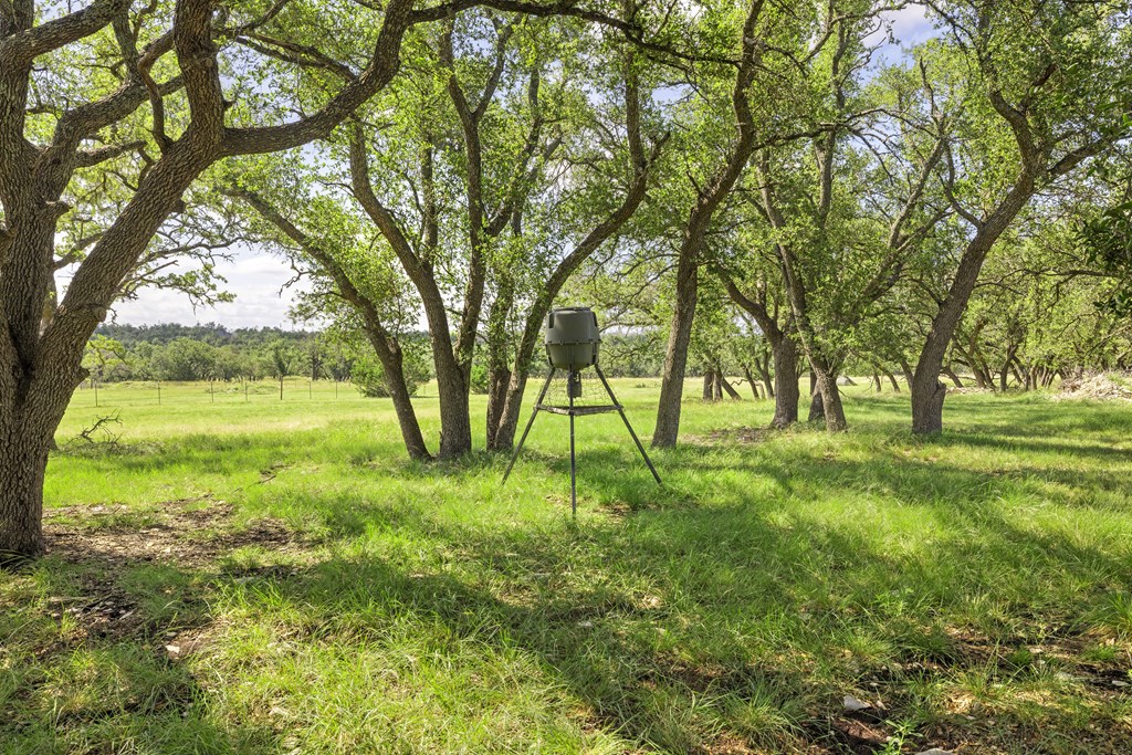 64 Scott Branch Road Harper, TX 78631 - Photo 28 of 36 a view of yard with trees