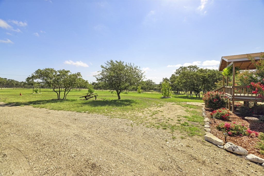 64 Scott Branch Road Harper, TX 78631 - Photo 35 of 36 a view of a park with large trees