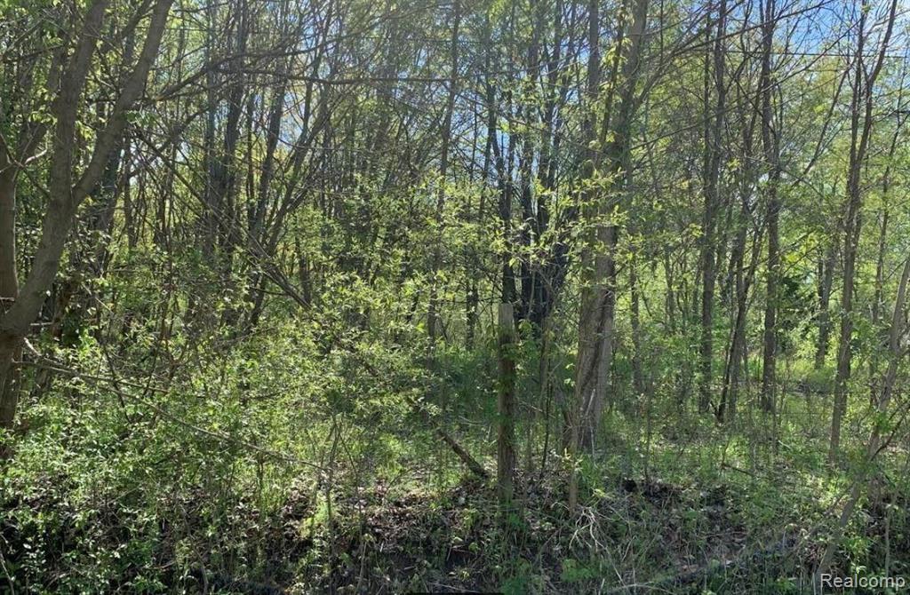 B Carleton West Road Belleville, MI 48111 - Photo 1 of 4