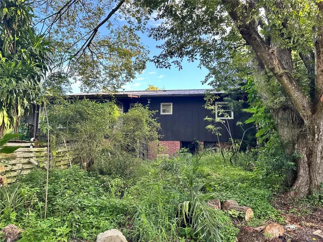 a view of a garden with plants