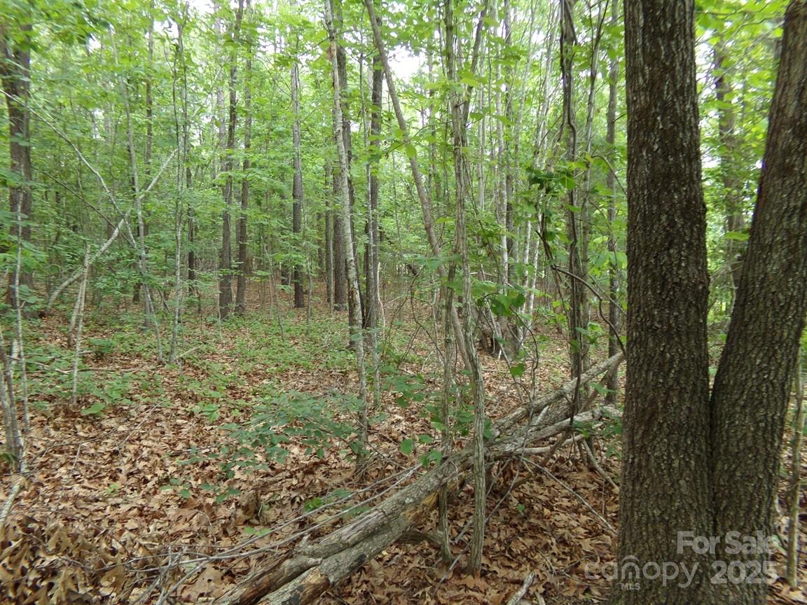 1.5-ac Pinckney Road Chester, SC 29706 - Photo 6 of 8 a view of a green field with lots of bushes