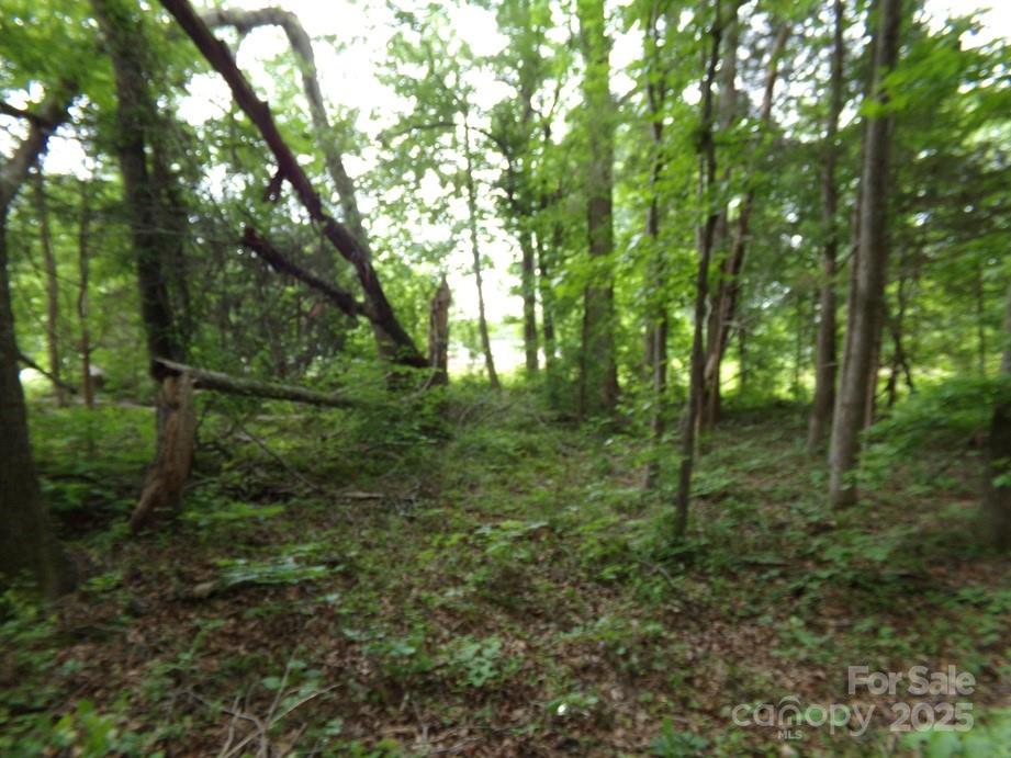 1.5-ac Pinckney Road Chester, SC 29706 - Photo 7 of 8