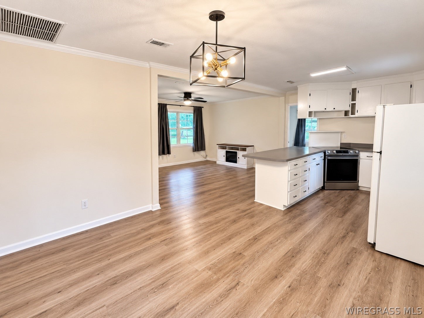 1257 Pleasant Grove Road Ashford, AL 36312 - Photo 8 of 22 Gallery Image 8