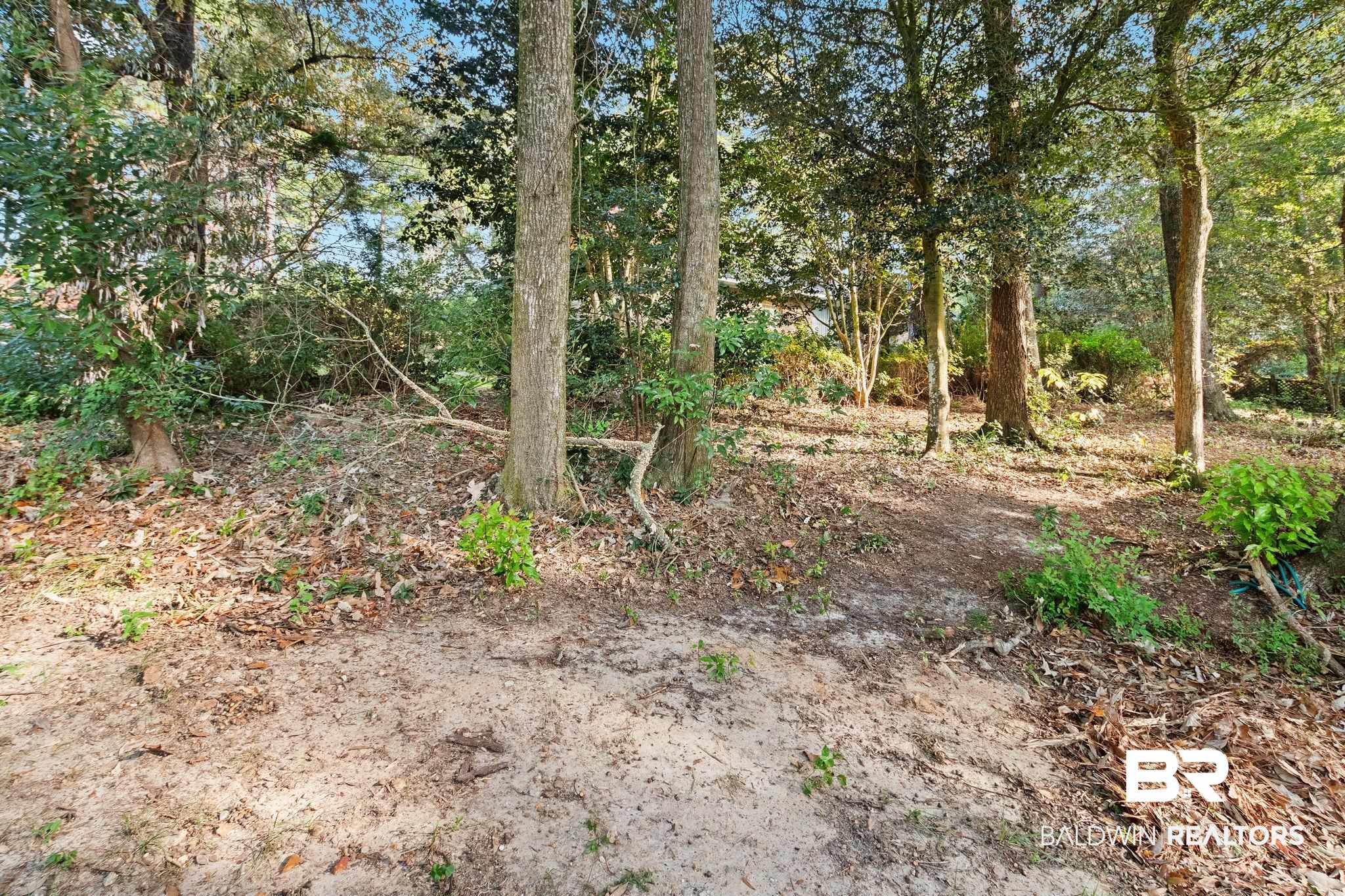 752 Evergreen Street Fairhope, AL 36532 - Photo 68 of 100 View of local wilderness