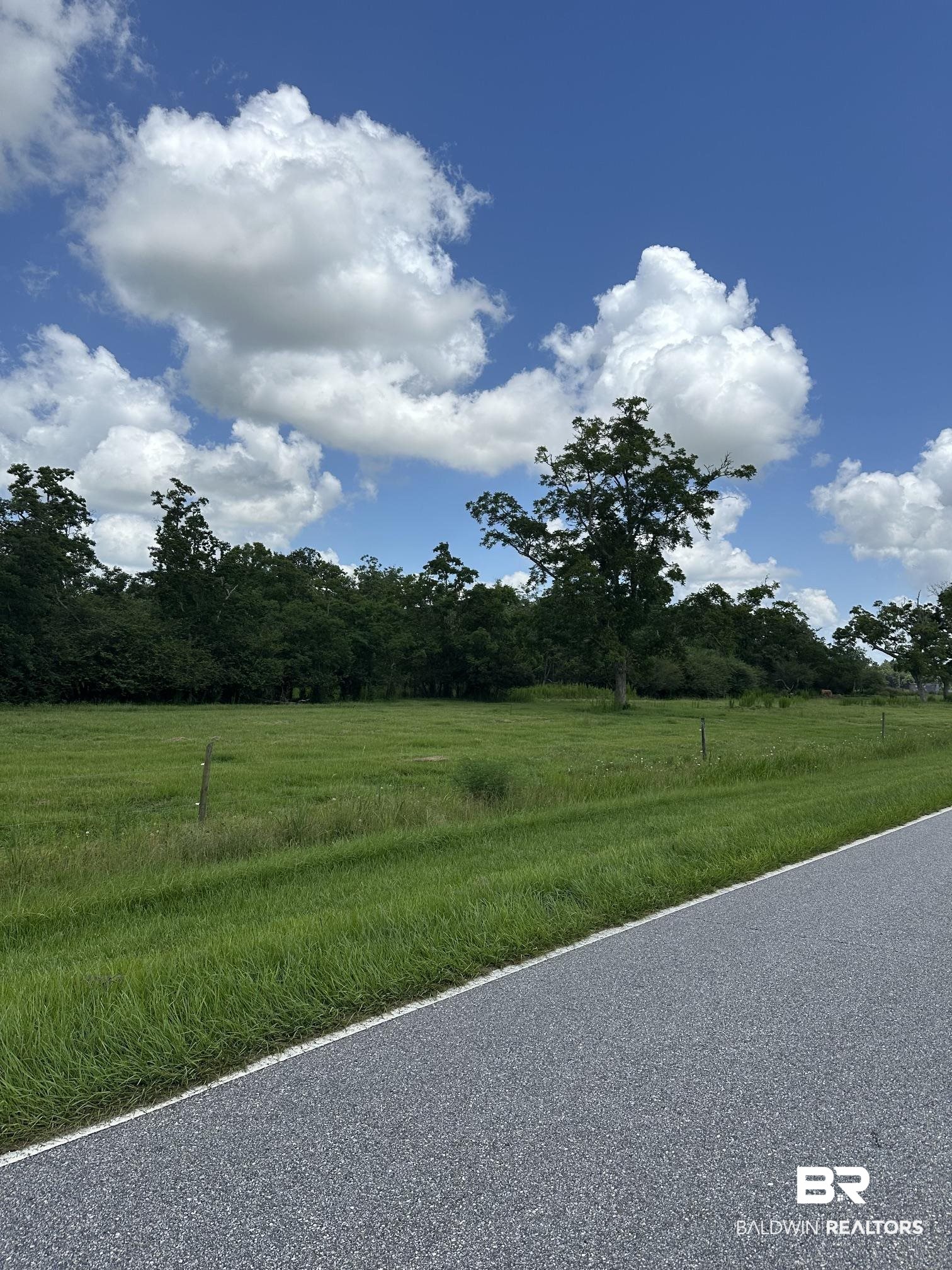 0 West John Bloch Road Elberta, AL 36530 - Photo 2 of 3