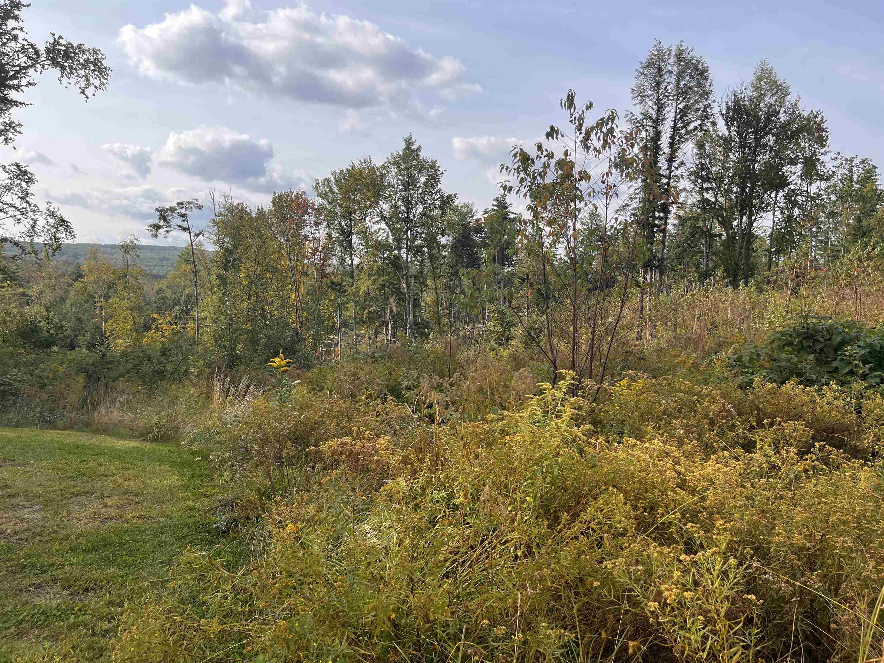 17 Colonial Drive Troy, NH 03465 - Photo 23 of 37