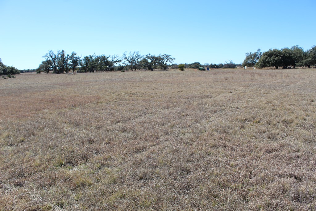 184 Lipan Loop Harper, TX 78631 - Photo 3 of 7