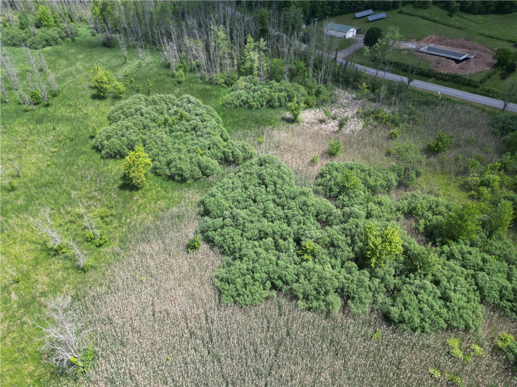 Layton St Road Lyons, NY 14489 - Photo 19 of 28