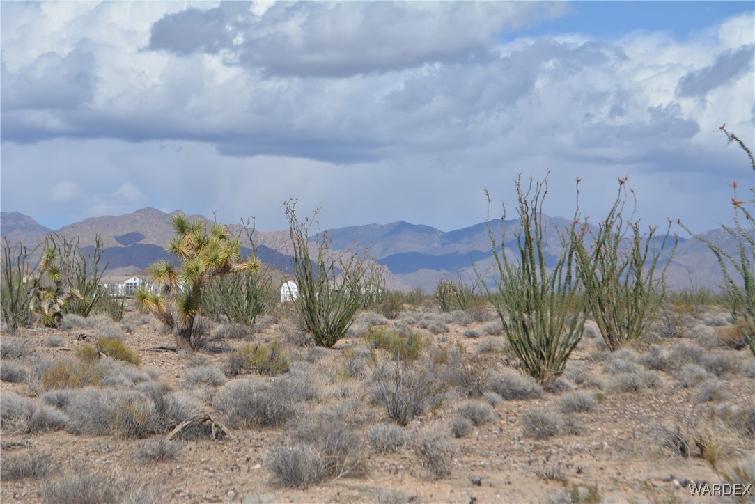 245-24-107 South Rainbow Road Yucca, AZ 86438 - Photo 62 of 91