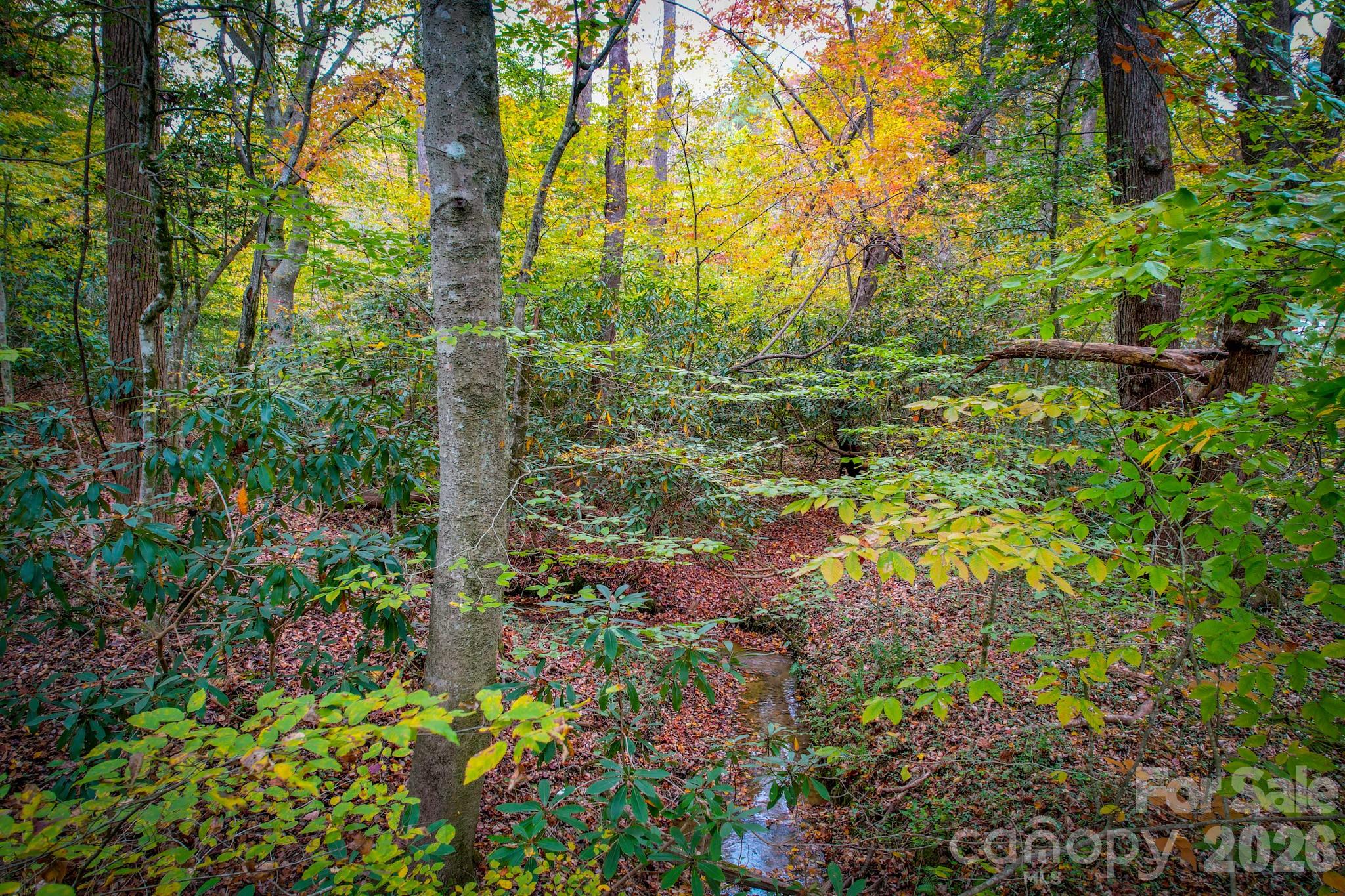 0 Grandin Road, Unit 2 Lenoir, NC 28645 - Photo 6 of 15