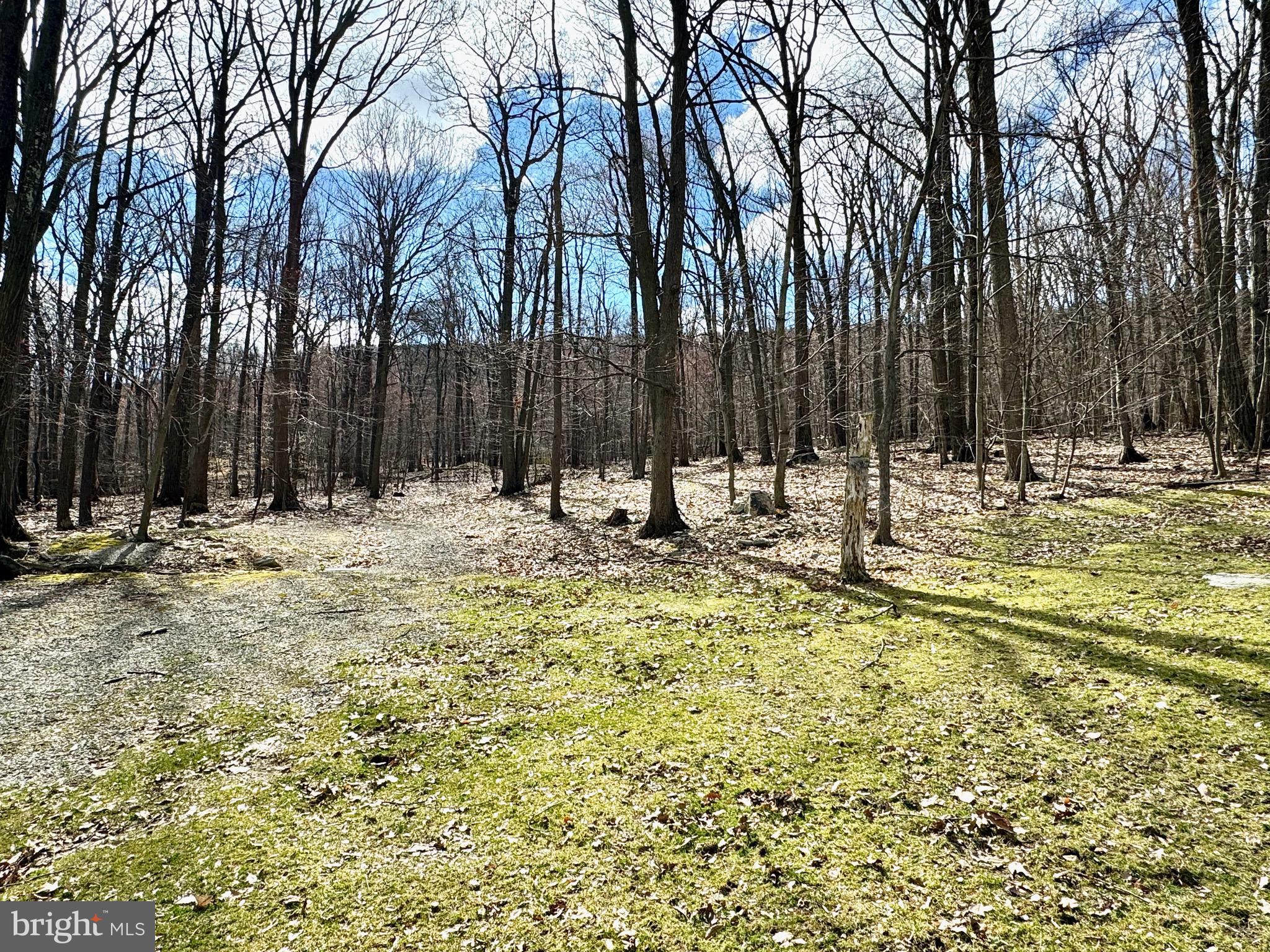 1490 Hawk Mountain Road Kempton, PA 19529 - Photo 26 of 26 Gallery Image 26