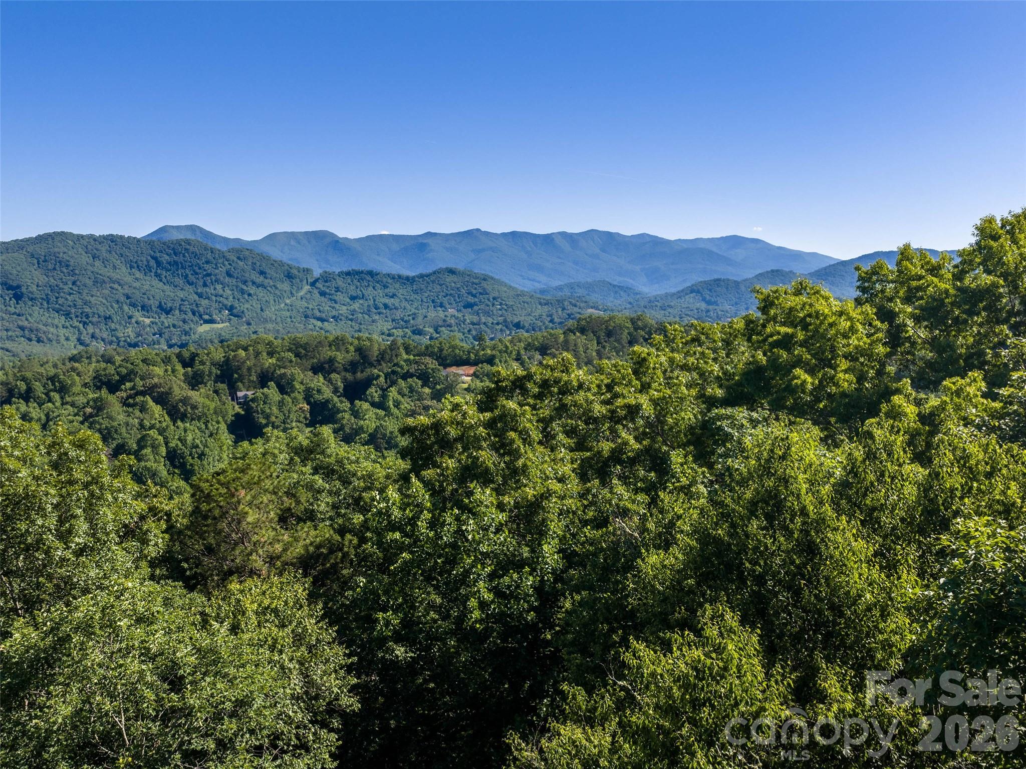 0 Little Savannah Road Sylva, NC 28779 - Photo 9 of 18