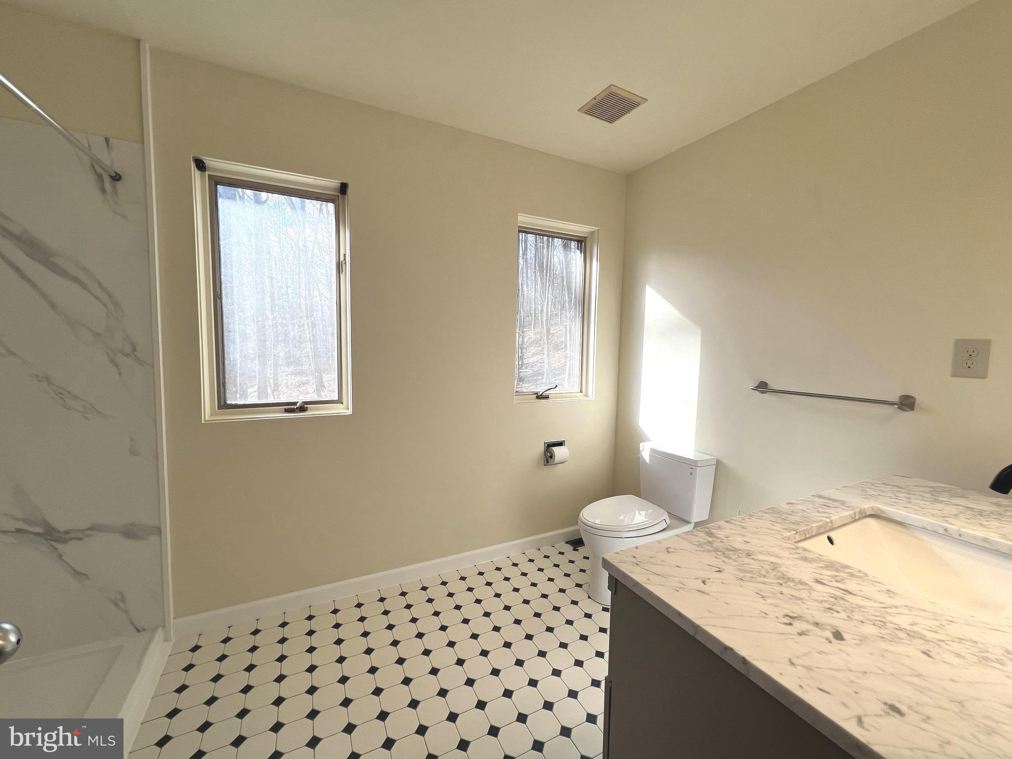 12889 Eagles View Road Phoenix, MD 21131 - Photo 34 of 45 Primary Bathroom