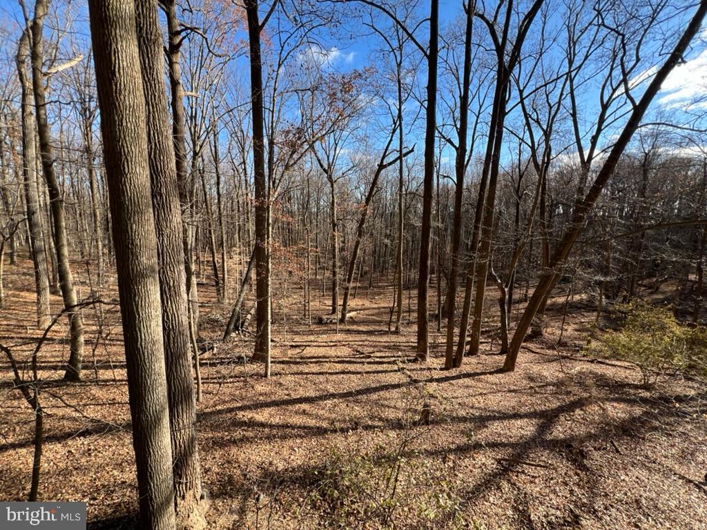 12889 Eagles View Road Phoenix, MD 21131 - Photo 9 of 45 Wooded View