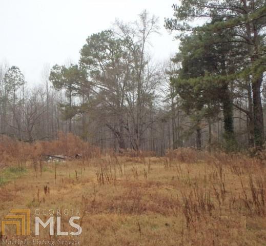 102 Dudley Road Buchanan, GA 30113 - Photo 1 of 1