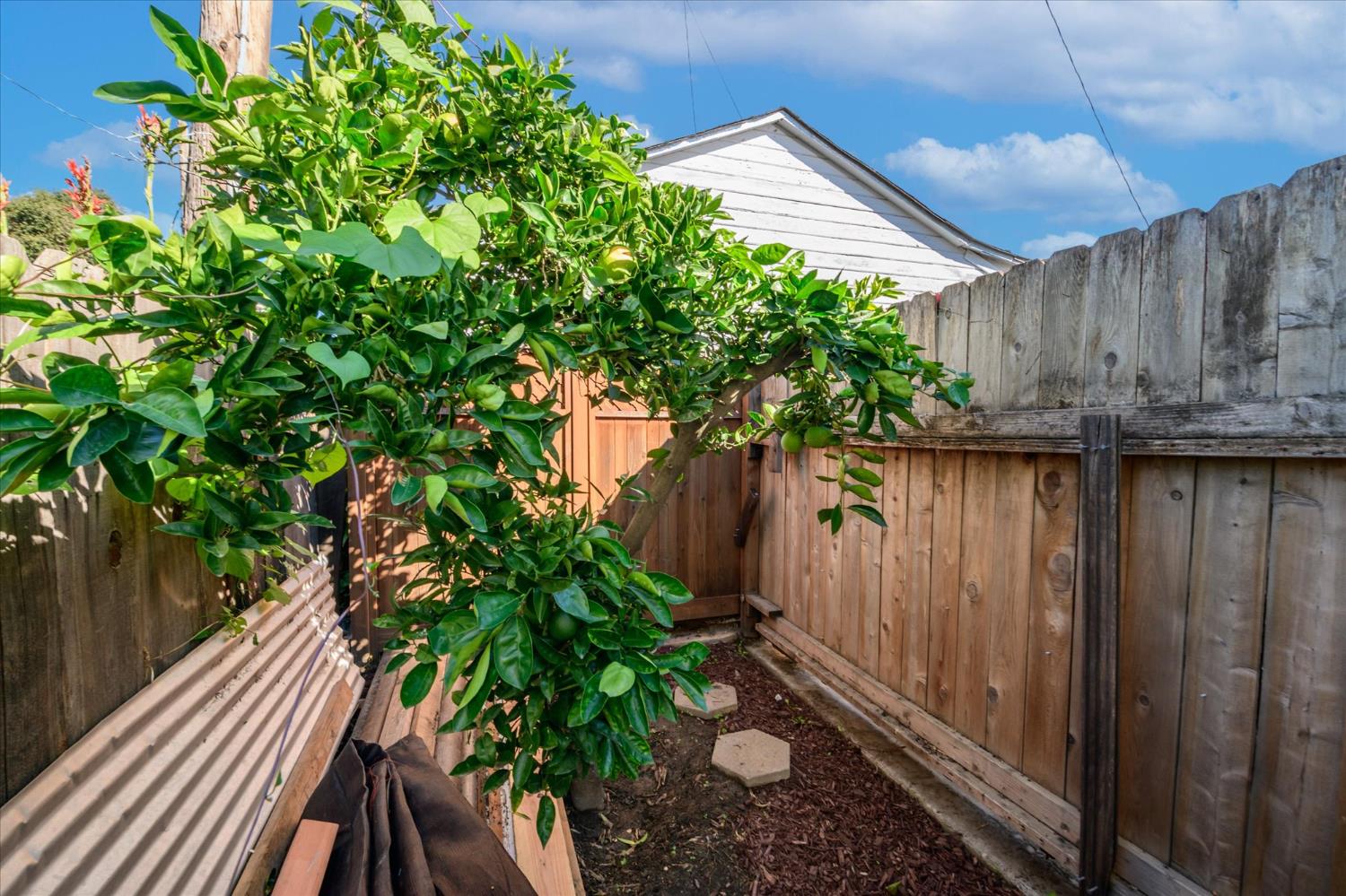 108 Delta Avenue Isleton, CA 95641 - Photo 29 of 29