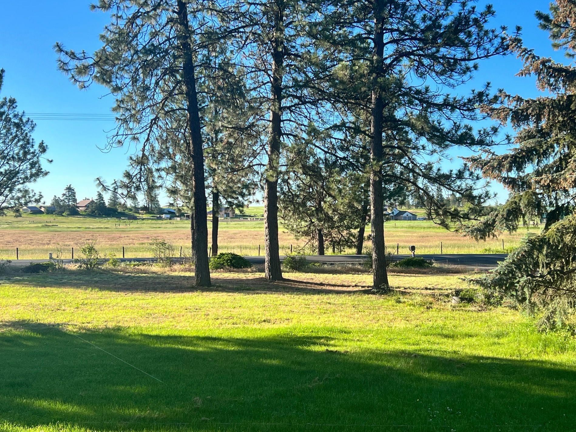 17106 South Smythe Road Spokane, WA 99224 - Photo 14 of 35