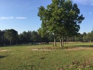 189 Crooked Creek Road Aiken, SC 29805 - Photo 31 of 43 Gallery Image 31