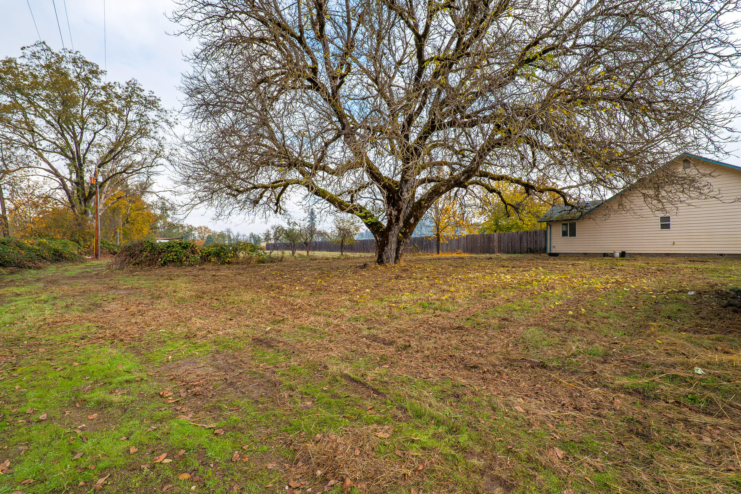 264 Minthorne Road Rogue River, OR 97537 - Photo 34 of 39 26h