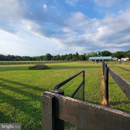 a picture of flowers